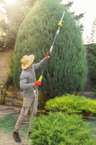 Best Commercial Tree Services  in Parkston, SD